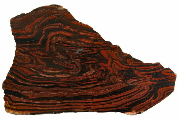 Polished Tiger Iron Stromatolite Slab - Billion Years #163112